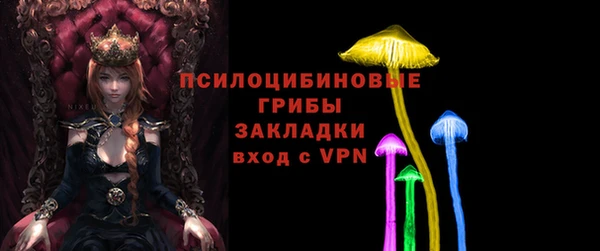 гашик Зеленокумск