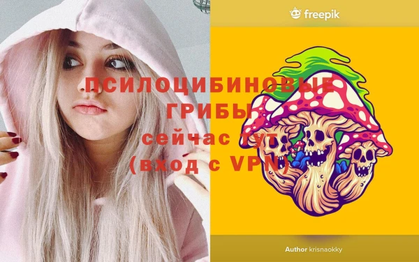 не бодяженный Зеленодольск